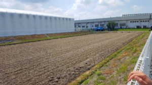 In Japan, every square inch of space is used for productive means. Right next to the Polynite® factory was a newly seeded rice paddy.